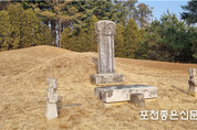 학계의 주목을 받고 있는 군내면 용정마을 ‘윤세징 일가의 묘비와 석인상’