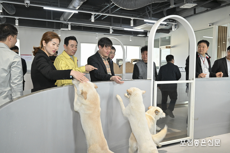 오산시 반려동물 테마파크. (사진=포천시 제공)