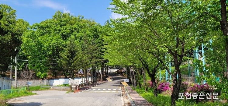 나무 숲사이로 '옛 6공병여단' 정문이 보이고 있다.