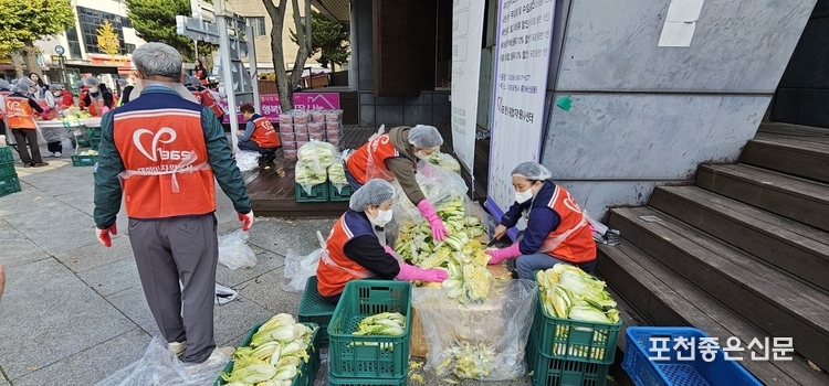 절인 배추를 손질하고 있다. (사진=문석완 기자)