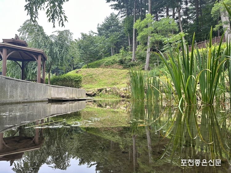 12월 1일 재개장하는 '포천 하늘아래 치유의 숲' 전경
