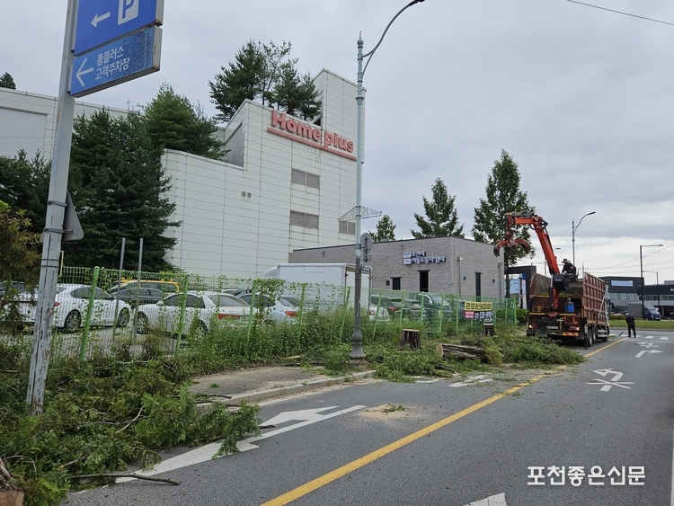 사진 5번.