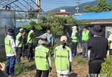 농촌사랑봉사단, 호우 피해 내촌면 포도 농가 찾아 일손 돕기