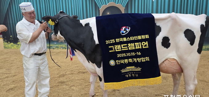 노곡목장 출품 소 '대통령상, 국무총리상' 동시 석권