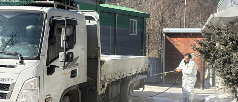 관인면 돼지농가에서 포천시 두번째 ASF 확진...돼지 8천 520두 살처분 중