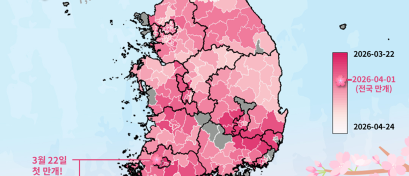 국립수목원, '전국 벚꽃 개화지도' 완성